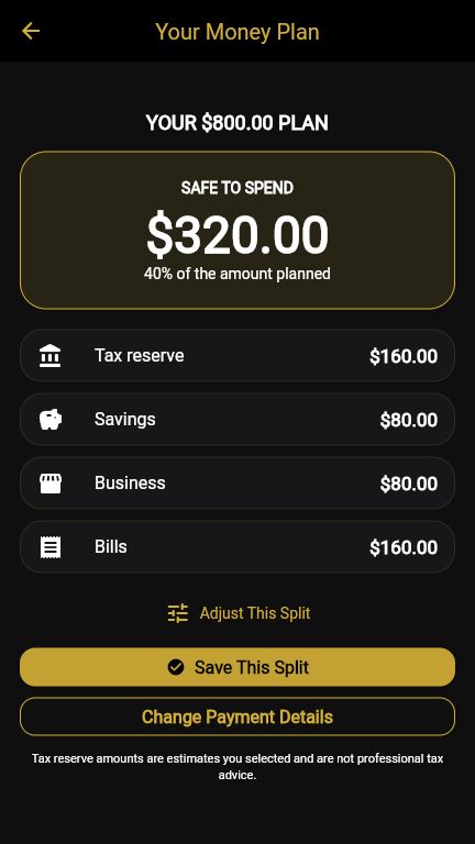 Faceless Cash Flow example money plan showing amounts for spending, savings, and bills